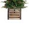 4ft. Pre-Lit Asheville Fir Artificial Christmas Tree with Wooden Crate Base, Clear Lights